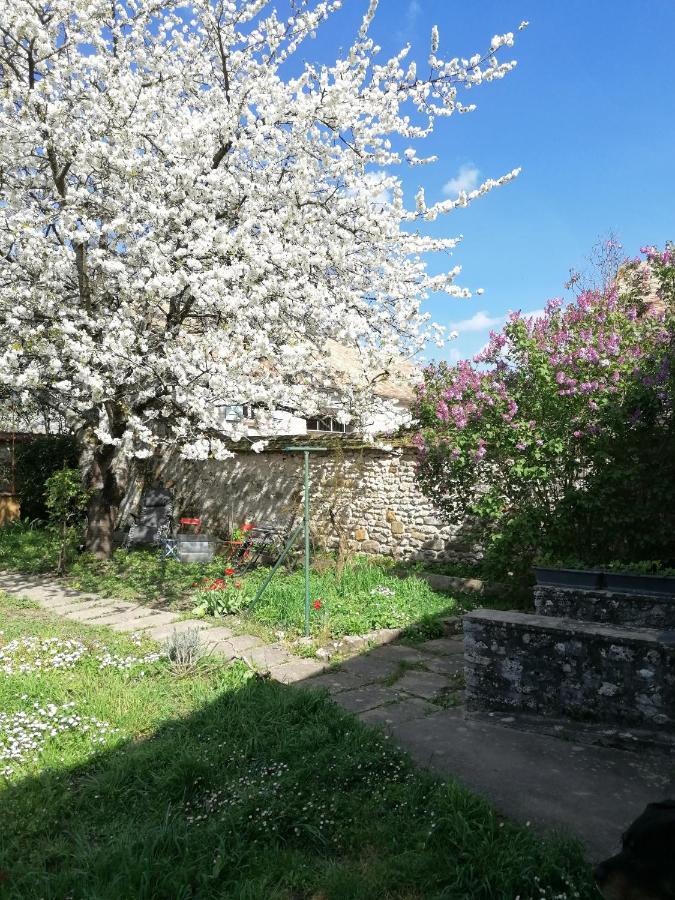 Chez Marylene Apartment Soisy-sur-Ecole Exterior foto
